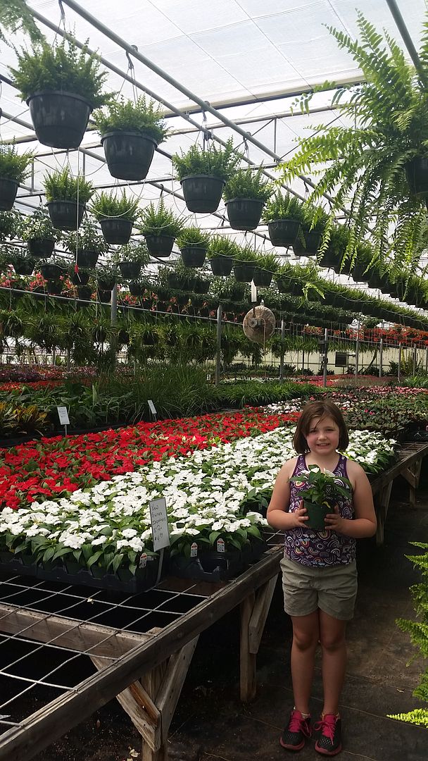 Starview Greenhouses, Nursery, Garden Center and Gift Shop in Henry County